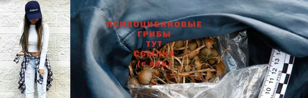 дмт Балахна