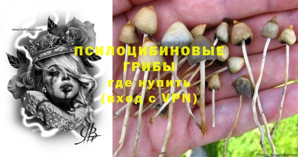 не бодяженный Баксан