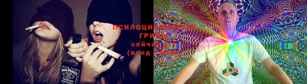 не бодяженный Баксан